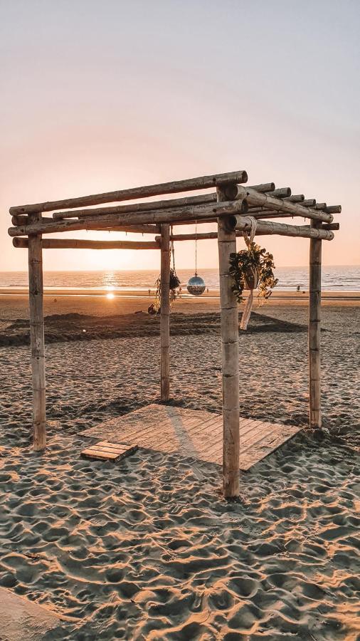Little Beach House 잔드보르트 외부 사진